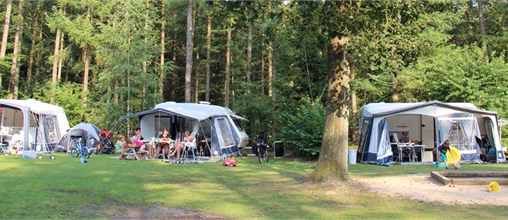 Molecaten De Leemkule