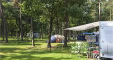 Campingplatz 165 in Oostappen Arnhem