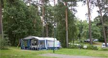 Campingplatz 374 in Oostappen Boschbeek