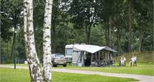 Campingplatz 766 in Oostappen De Berckt